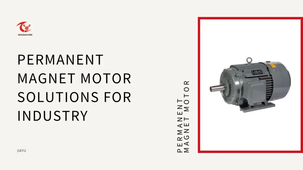 Permanent Magnet Motor Solutions for Industry in China