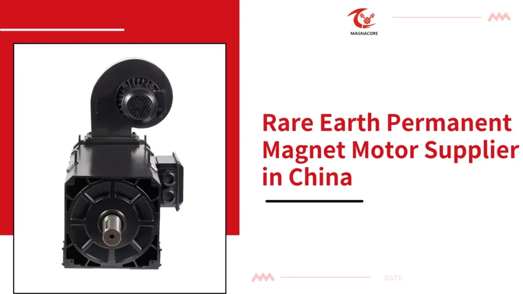 Rare Earth Permanent Magnet Motor Supplier in China