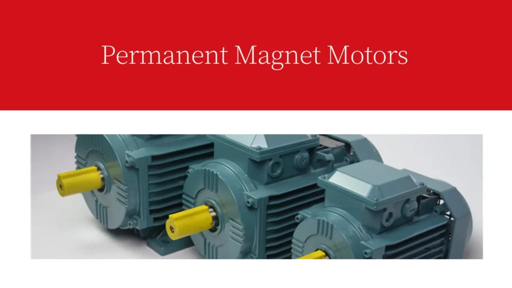 China's Leading Edge in Advanced Permanent Magnet Motor Technology