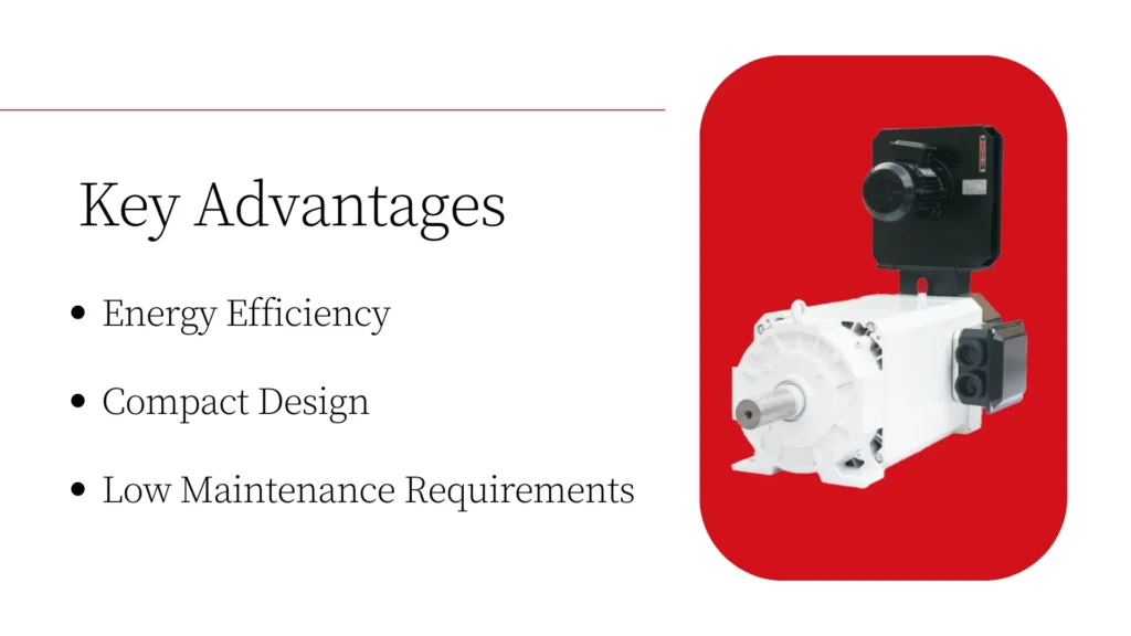 Cutting-Edge Developments in High-Performance Permanent Magnet Motors from China