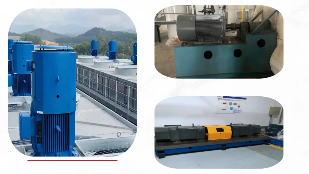 Durability of Rare Earth Motors in Extreme Settings