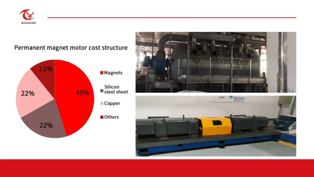 Rare Earth Motors Value Beyond the Price Tag