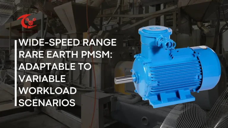 Wide-Speed Range Rare Earth PMSM Adaptable to Variable Workload Scenarios​